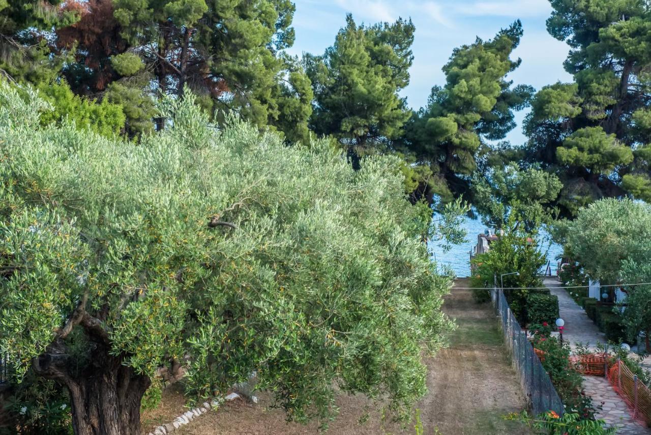 Hotel Citro By The Sea Metamorfosi  Exterior foto
