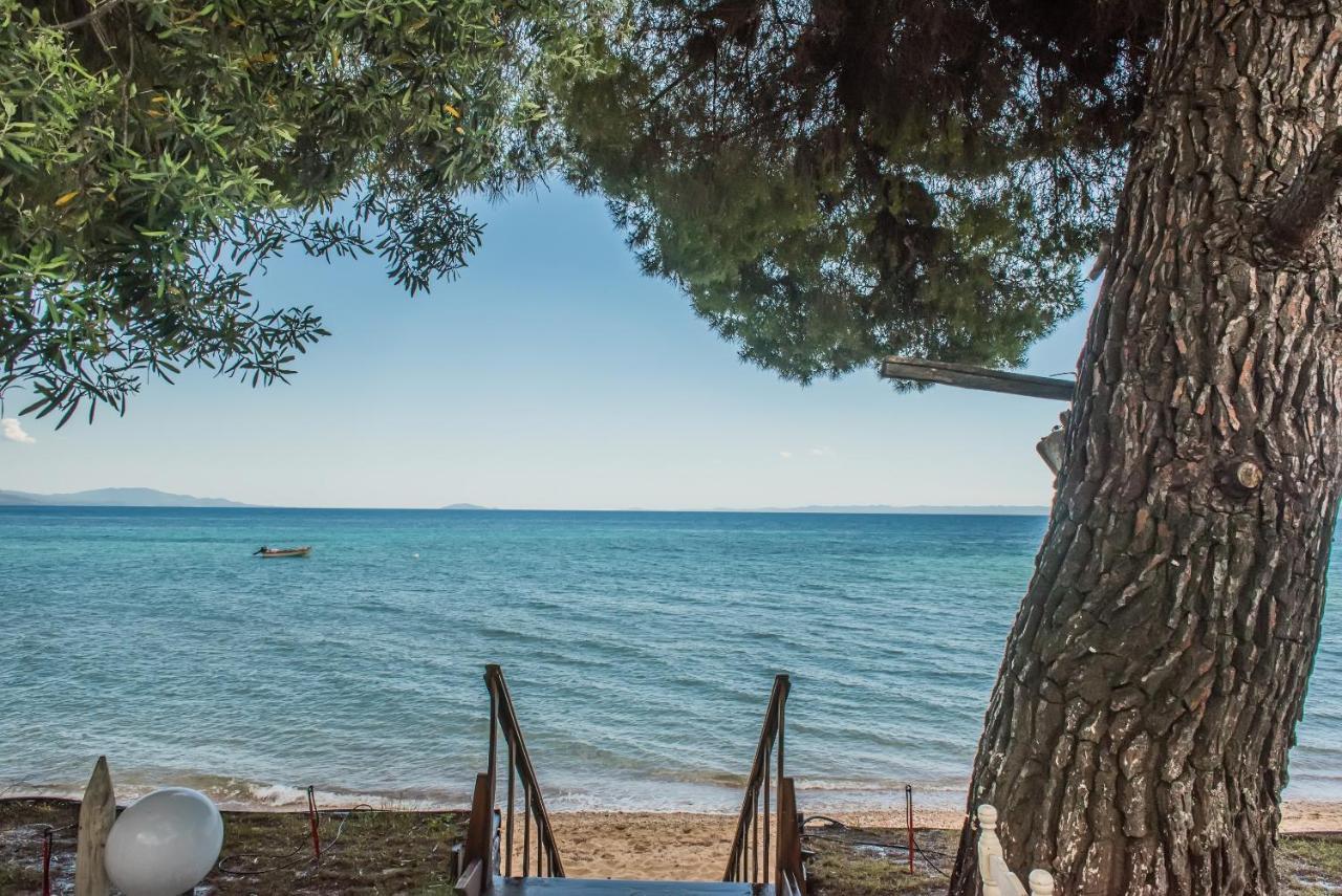 Hotel Citro By The Sea Metamorfosi  Exterior foto